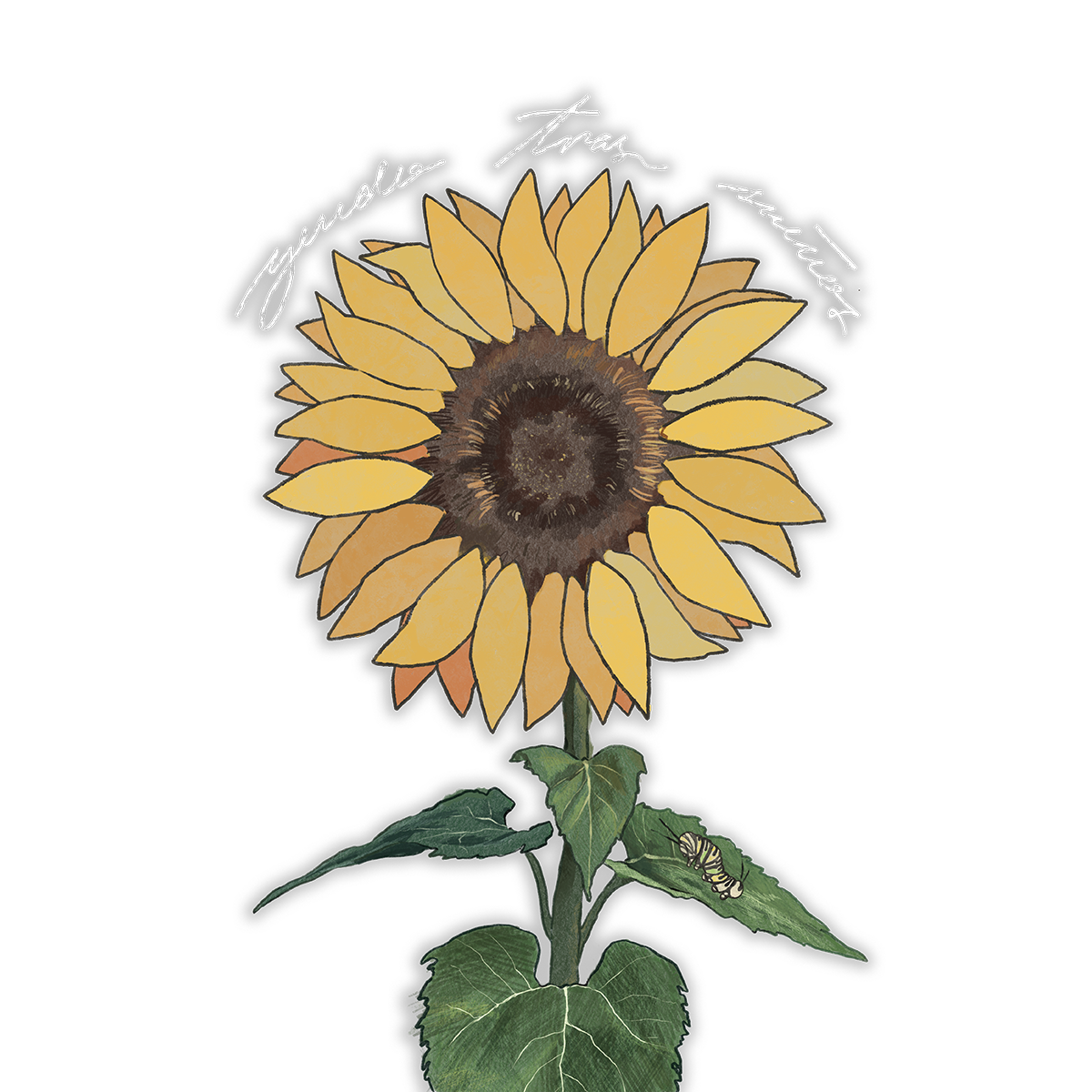 Yendo Tras Sueños - Album